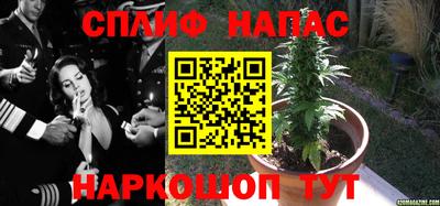 спайс Балахна