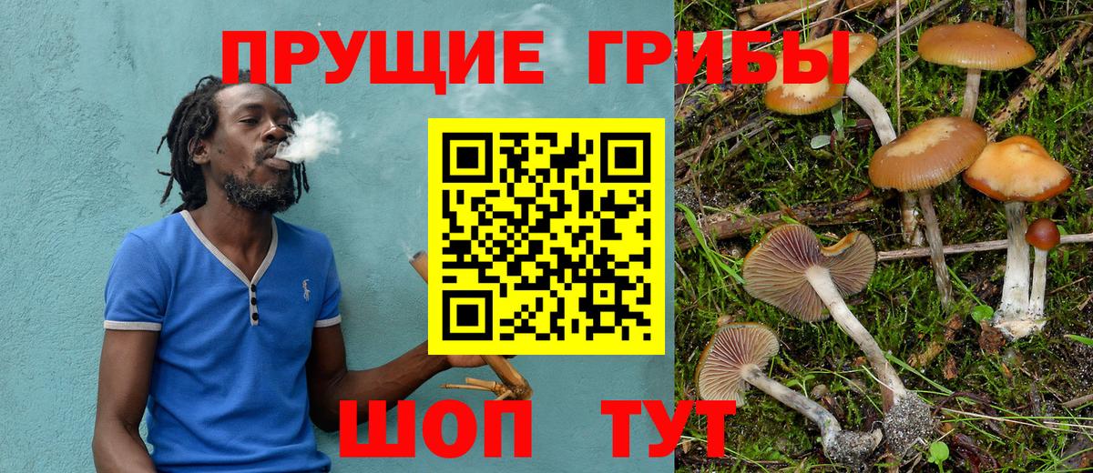 Псилоцибиновые грибы Magic Shrooms Егорьевск