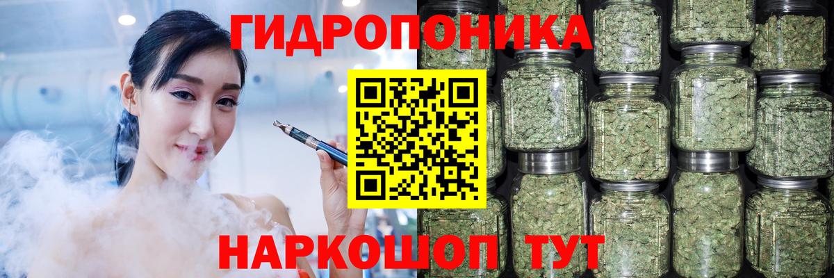 Бошки Шишки Amnesia Егорьевск