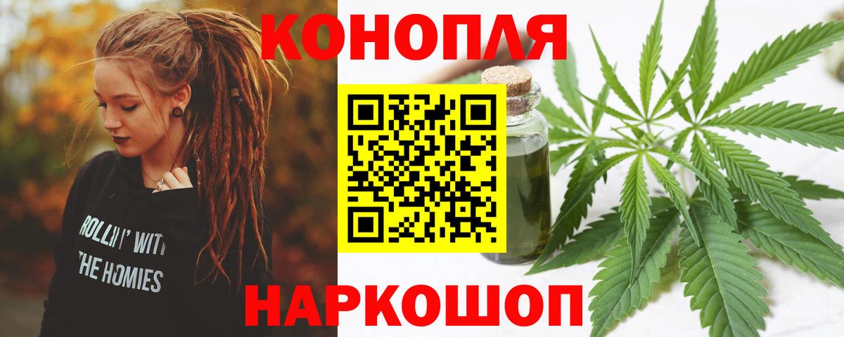 Егорьевск  Бошки Шишки семена  Вход с VPN  Конопля AK-47  Конопля MAZAR  Канабис сатива 